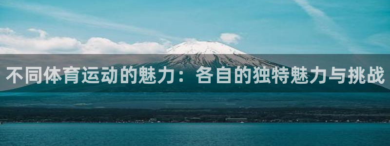 球速体育