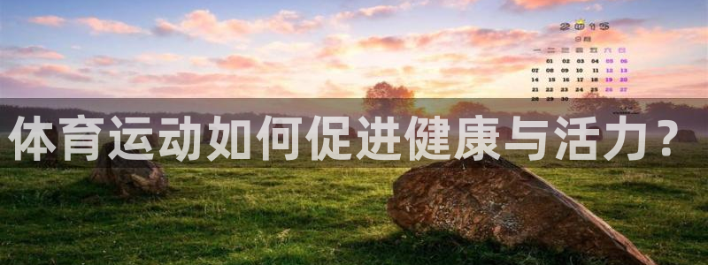 球速体育