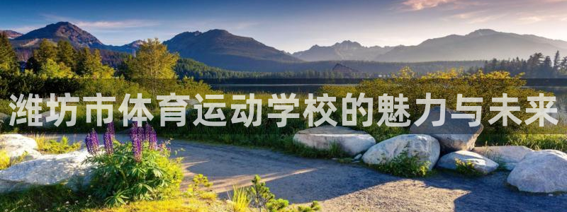 球速体育