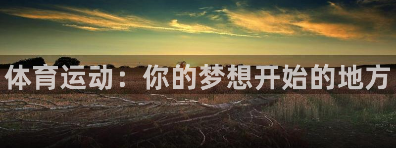 球速体育