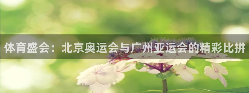 球速体育