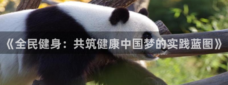 球速体育