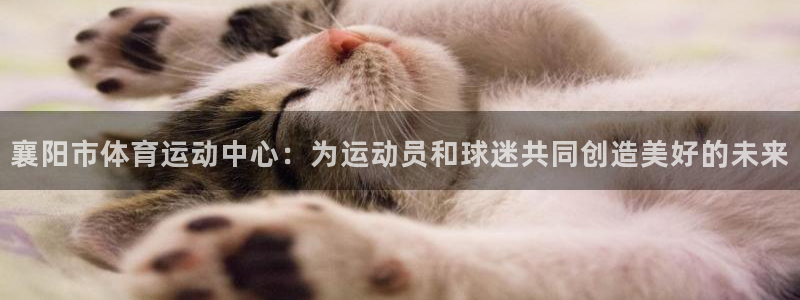 球速体育