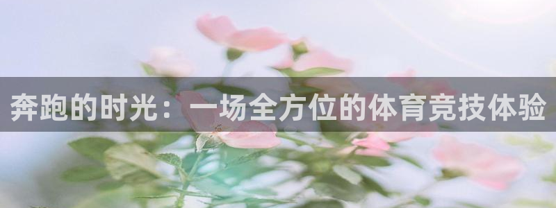球速体育