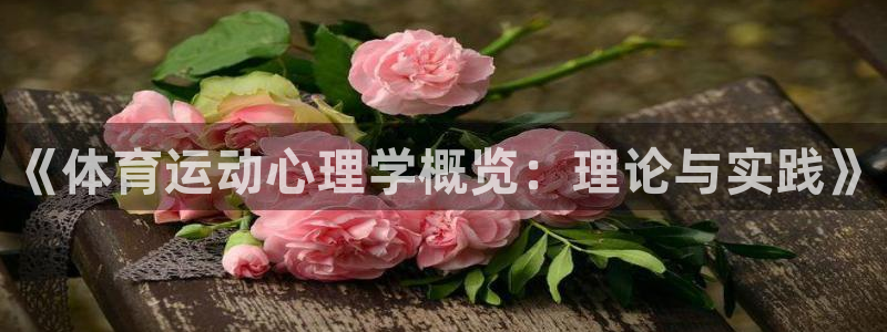 球速体育