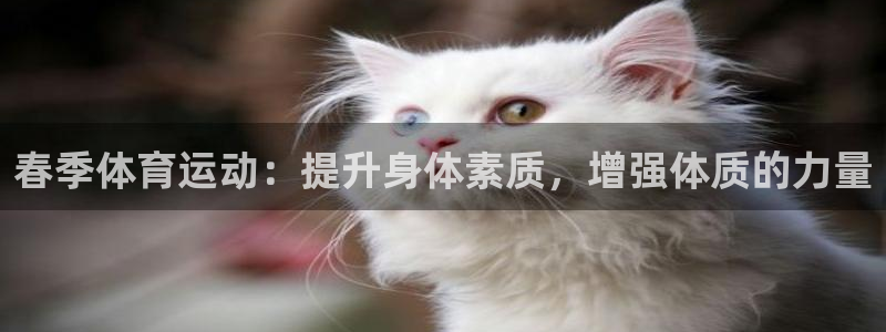 球速体育