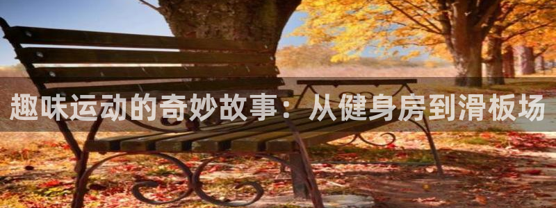 球速体育
